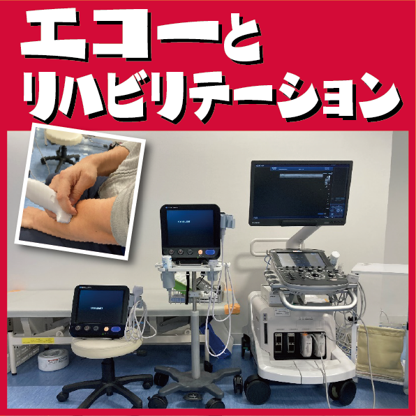 エコーとリハビリテーション | ぜんしん整形外科 スタッフブログ